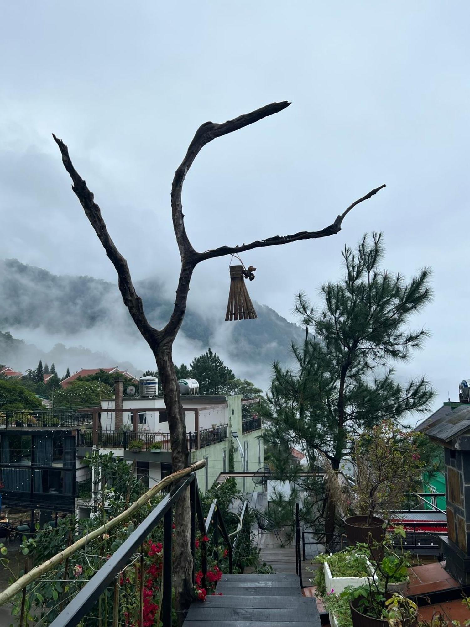 Bach Xanh House. Triangle Bungalow Tam Dao Bagian luar foto